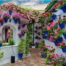 Patios de Córdoba