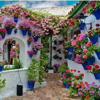 Patios de Córdoba (@PatiosdeCordoba) | Twitter