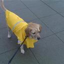 bianca clark - @biancaclarklieu - Twitter