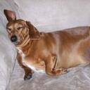 Tracy Murrell - @tracyannmurrell - Twitter