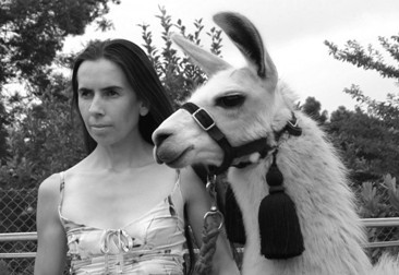 Animal Training and behaviour consultancy