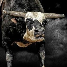 Lightmaker's Rango is a top 10 PBR Bull 
http://t.co/tl2tczUV  - http://t.co/etLym0Rw