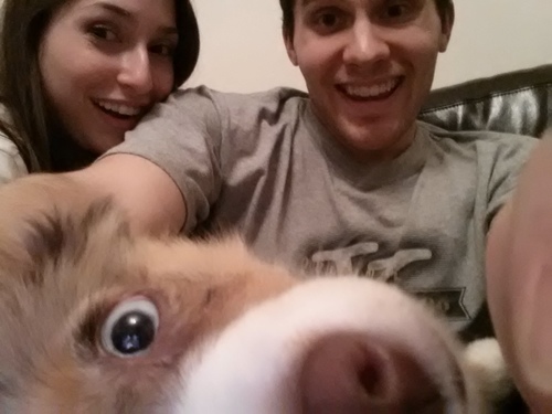 Actor. Puppy enthusiast. Living the dream.