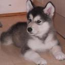 Dan Brooke - @DanJBrooke - Twitter