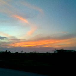 Cisabelav's profile picture. 