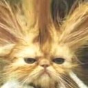 Dan Fletch - @danfletchero - Twitter