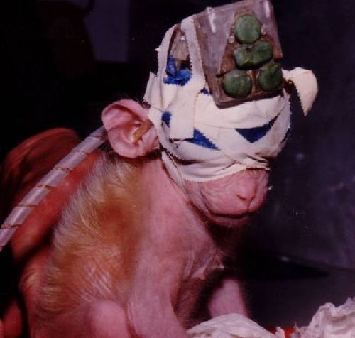 brujotuerto's profile picture. Microfictions, micropoems. aphorismic, cataclismic.

rhymes with goose.