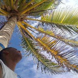 jj_gordon's profile picture. Born in San Andres Island, Attorney at law from the Universidad Libre.