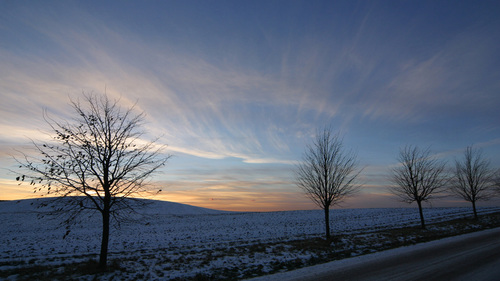 Ricardomb7's profile picture. soy tranquilo, divertido