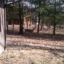 Patrick Hutt - @PatrickHutt1 - Twitter