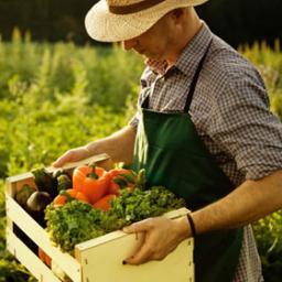 Organic foods are produced using methods of organic farming  that do not involve synthetic inputs such as synthetic pesticides and chemical fertilizers.