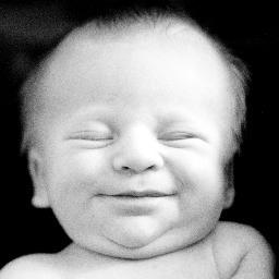 wildjb's profile picture. 