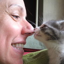 Terri Lemke - @kittncrzyterri - Twitter