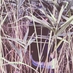 SIVA (@sivaheriberto) Twitter profile photo