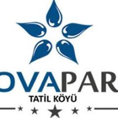 Dilaysa Eğitim Danışmanlık Organizayson