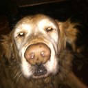 Terry Smiley - @TERRYSMILEY - Twitter