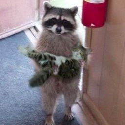 BowSeatT's profile picture. 