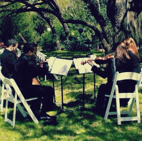We are a group of professional string musicians here to add a touch of elegance to your special event!