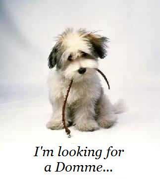 mvshot's profile picture. Sou do Rio de Janeiro, me usem como empregadinho e motorista. Sou motorista Uber Black, hiper bem avaliado, com certeza será muito bem servida. Insta: @hotsl96