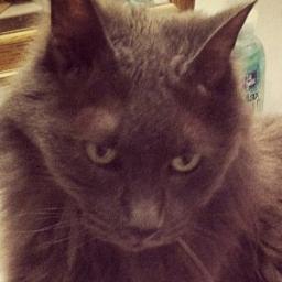 susan14509's profile picture. 