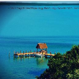 MyFloridaPhotos's profile picture. Sharing all that I appreciate, delight in, enjoy about, am intrigued by and relish in the state of Florida. http://t.co/GesO5oCj