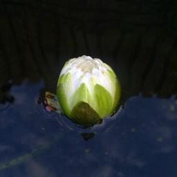 Pagan_Tattoo's profile picture. Supplier of high quality cartridge needles and disposable grips. Cheyenne.