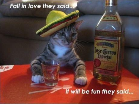 Drink Tequila.
