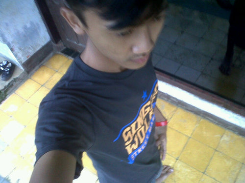 Woles