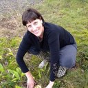 Jill Mitchell - @DrJillMitchell - Twitter