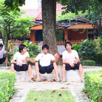 Donny Dwi Putra (@ddp_putra) 's Twitter Profile