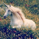 Caitlin Field - @heyy_hollywood - Twitter