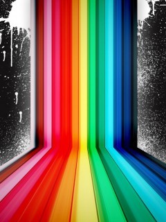 LGBT Rights Activist