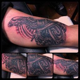 daveatillo's profile picture. A freak on a suit. The lady next door. A cat on a hat. Thin is always in.