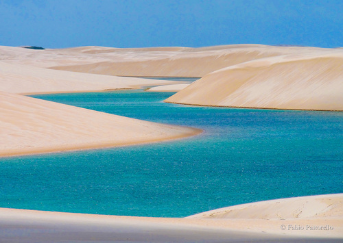 hacktoBrazil's profile picture. 