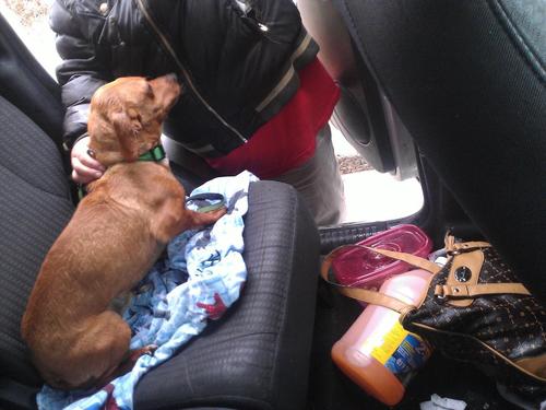 shortybaddy's profile picture. 