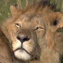 Sam Switzer - @Switzer100 - Twitter