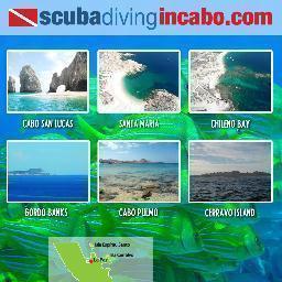 Scubaincabo's profile picture. At Scuba Diving In Cabo believe that your ocean adventure should be safe and fun. Let us take care of the details! You are here to have the time of your life!