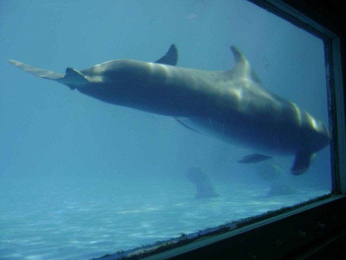 mymommason's profile picture. 