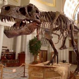 Hi there followers! I will be tweeting about how the dinosaurs died. If u have any questions, I will try to answer them! http://t.co/BNmkgWwyy1