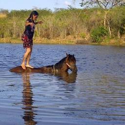 Mgda13's profile picture. 