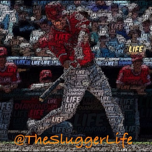 || Best Baseball account on Twitter ||