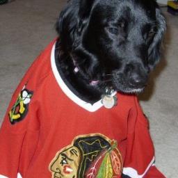 Born and raised on the beautiful northwest side of Chicago. Proud of it! Living in gold country, Nome Alaska. Hawks, Cubs, Bears. Sox suck, sorry.