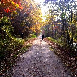 Just_Good_Ideas's profile picture. I like ideas and sharing em. Check em out. Tweet @ me if you have follow ups or other ideas.