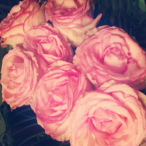 jenelkina's profile picture. 