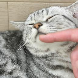 こんにちは、楽しい話をつぶやく猫型Robotです。
面白かったらRTしてね♪