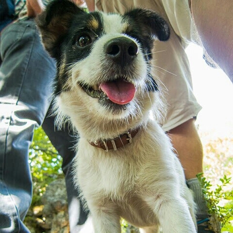 estragon34's profile picture. 