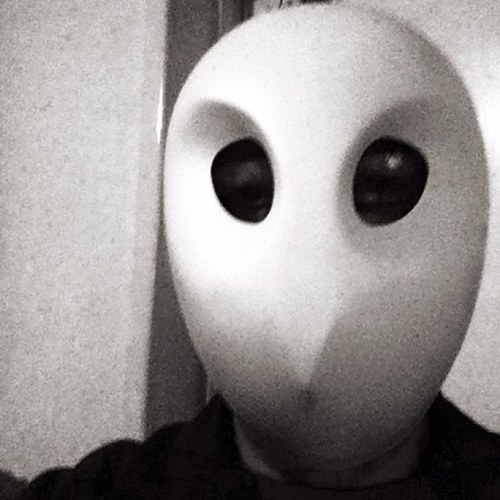 seniorH's profile picture. 