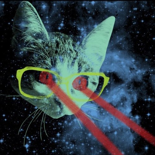 greek princess hippie cat. i like anything green. and space. keyz are the shit. synth party. colorado. disco. neon. rage. pretty lights. misstinkles420.