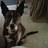Kroll41373Roll's profile image