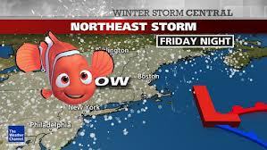 Storm_Nemo2813's profile picture. READY OR NOT, HERE I COME!  2/8/13